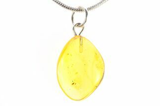 Polished Baltic Amber Pendant (Necklace) - Contains Insects! #288888