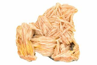 Bright Orange-Pink Bladed Barite Cluster - Morocco #292922