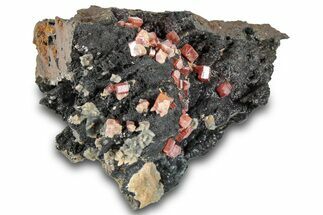 Small Red Vanadinite Crystals on Goethite - Morocco #292908