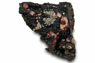 Small Red Vanadinite Crystals on Goethite - Morocco #292904