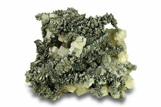 Iridescent Marcasite Crystals on Barite - Linwood Mine, Iowa #293593