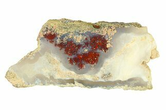 Polished Colorful Plume Agate Slab - Java, Indonesia #293372