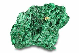 Fibrous Malachite Crystal Cluster - DR Congo #294628