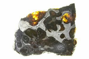 Brenham Pallasite Meteorites For Sale - FossilEra.com