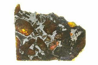 Brahin Pallasite Meteorite ( g) Slice - Belarus #294818
