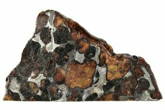 Polished Sericho Pallasite Meteorite ( g) Slice - Kenya #294855