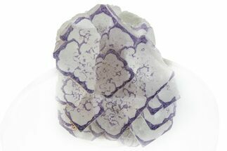Purple Edge Fluorite - Qinglong Mine, China #295043