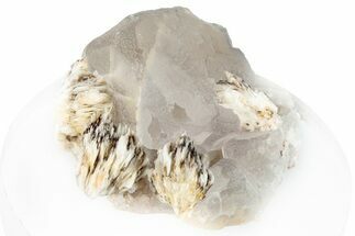 Cubic Fluorite Cluster with Barite - Qinglong Mine, China #295044