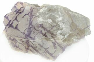 Purple Edge Fluorite - Qinglong Mine, China #295051