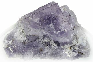 Purple Fluorite Cluster - Qinglong Mine, China #295056