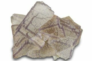 Purple Edge Fluorite - Qinglong Mine, China #295070