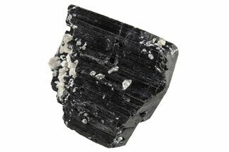 Terminated Black Tourmaline (Schorl) Crystal - Madagascar #295032