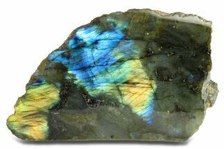 Single Side Polished Labradorite Section - Madagascar #295475