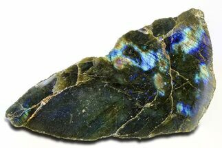 Single Side Polished Labradorite Section - Madagascar #295480