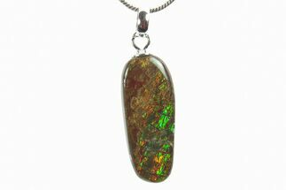 Brilliant Ammolite Pendant (Necklace) - Alberta, Canada #296038