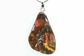 Brilliant Ammolite Pendant (Necklace) - Alberta, Canada #296067