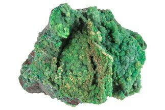 Forest Green Conichalcite on Chrysocolla - Namibia #295906