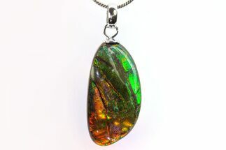 Brilliant Ammolite Pendant (Necklace) - Alberta, Canada #296091