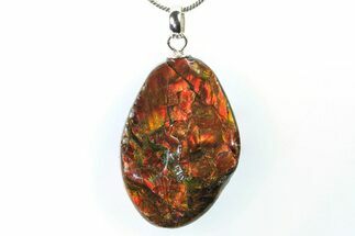 Brilliant Ammolite Pendant (Necklace) - Alberta, Canada #296143