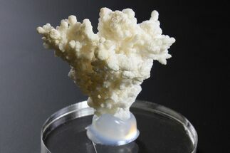 Intricate, Fluorescent Aragonite Formation - Nevada #295225
