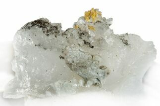 Native Gold Formation in Quartz - Morocco #296643