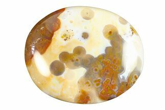 Polished Ocean Jasper Stone - New Deposit #297224