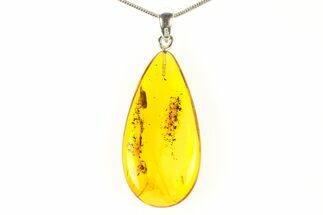 Polished Baltic Amber Pendant (Necklace) - Contains Ant! #297667