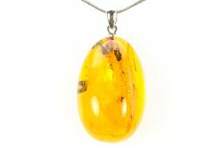 Polished Baltic Amber Pendant (Necklace) - Contains Fly! #297668