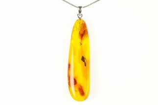 Polished Baltic Amber Pendant (Necklace) - Contains Fly! #297682