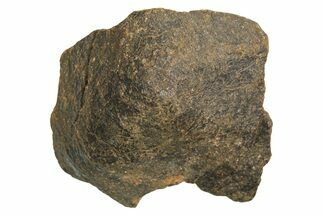 Chondrite Meteorite ( g) - Western Sahara Desert #296239