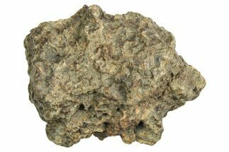 Chondrite Meteorite ( g) - Western Sahara Desert #296243