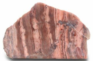 Polished Kona Dolomite Section - Michigan #299935