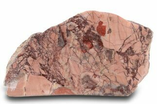 Polished Kona Dolomite Section - Michigan #299946