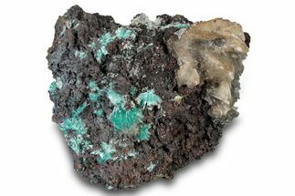 Fibrous Aurichalcite Crystals with Calcite - Mexico #300492