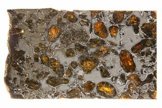 Pallasite Meteorites For Sale