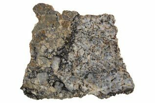 Lunar Meteorite - Adrar 013 For Sale