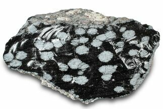 Snowflake Obsidian Section - Utah #300257