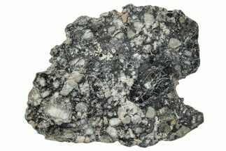 Polished Lunar Meteorite ( g) Slice - Ajdabiya #301104