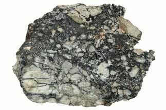 Polished Lunar Meteorite ( g) Slice - Ajdabiya #301126
