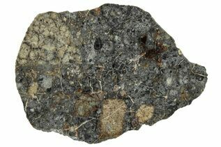 Lunar Meteorite - Dayet el Aam 003 For Sale