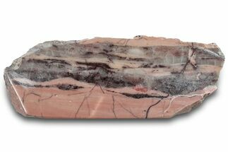 Polished Kona Dolomite Section - Michigan #301221