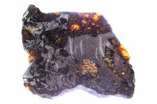 Polished Pallasite Meteorite ( g) Slice - NWA #301185