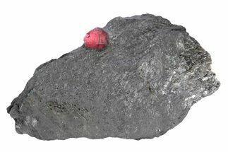 Red Embers Garnet in Graphite - Massachusetts #301096