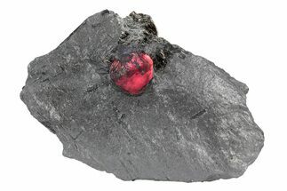 Red Embers Garnet in Graphite - Massachusetts #301121