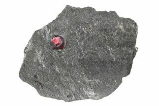 Red Embers Garnet in Graphite - Massachusetts #301141