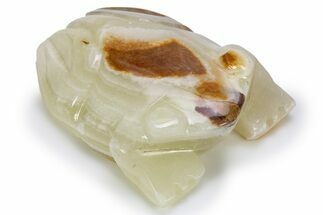 Carved Green Banded Calcite Frog - Pakistan #301427