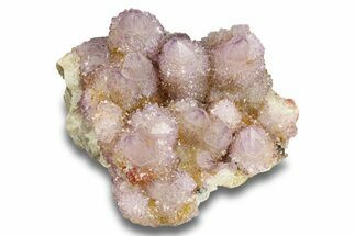 Sparkling Cactus Amethyst Crystal Cluster - South Africa #301881