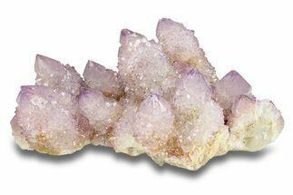 Spectacular Cactus Amethyst Crystal Cluster - South Africa #301883