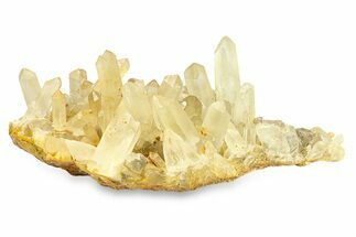 Quartz Crystal Cluster - Spruce Ridge, Washington #301245