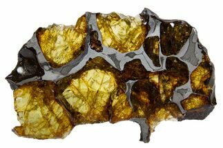 Polished Imilac Pallasite Meteorite (g) Slice #302096